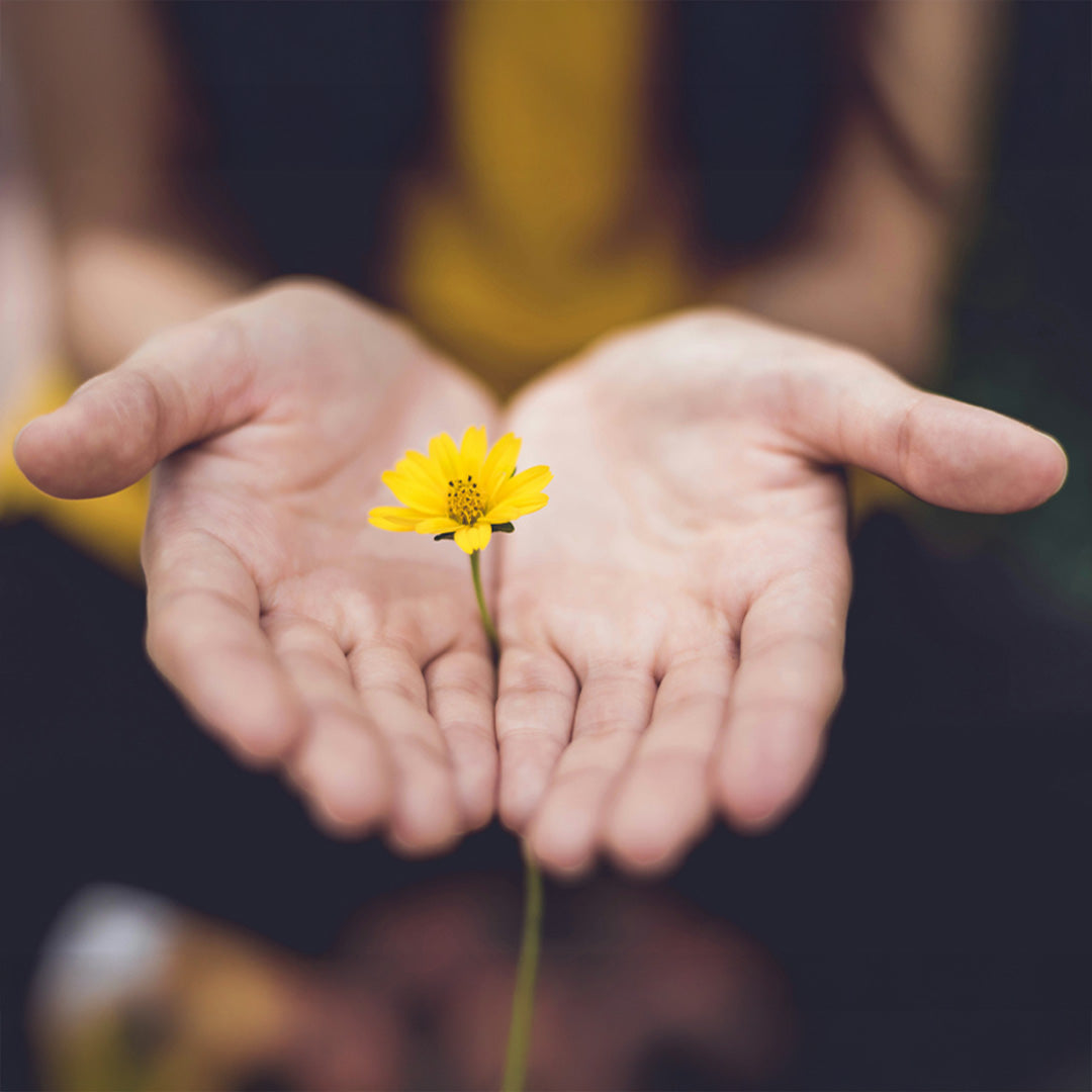 Free 15 Minute Initial Consult Call